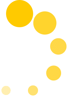 chrysantheum